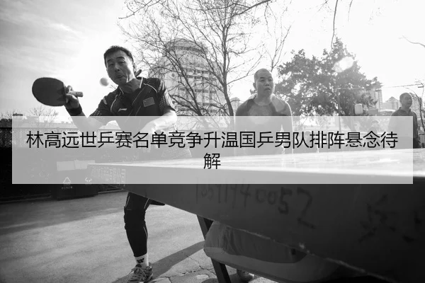 林高远世乒赛名单竞争升温国乒男队排阵悬念待解 - kaiyun